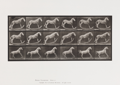 Plate 649.A, Hornet, Rocking; B, Eagle, Rolling Barrel, Etc., 1885 (collotype on paper)