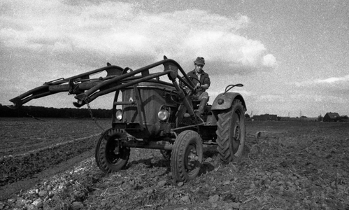 Farmers during field work in Muensterland 1971 DEU, Germany, Muensterland …, 1971 (photo)