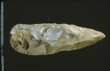 Neanderthal spear point