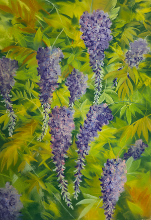 Wisteria flowers & foliage 2, 2023 (pastel on paper)
