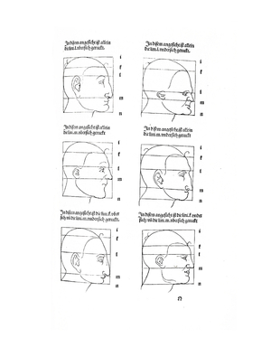 Anatomical illustration