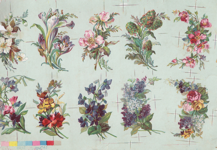 Flowers, 1900s (colour litho)