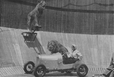 Lion Motordrome On The Midway At The Century Of Progress