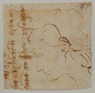 Sketch of a maiden's head, 16th century (drawing)