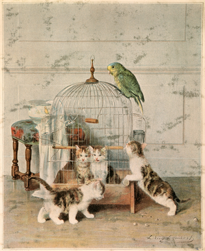 Kittens, 19th century (illustration)