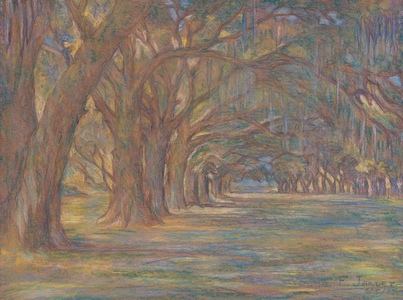 Packenham Oaks at Chalmette, New Orleans Battlefield, 1933 (graphite and pastel on paper)
