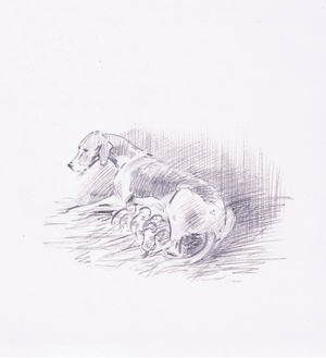 Hounds and puppies, from The Silent Horn published by Collins, 1938 (litho)