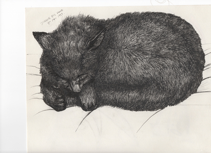 Diddy big face, 1997 ( ink on paper)