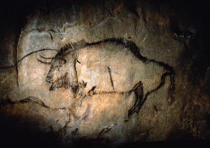 Bison in the Salon Noir of Niaux Cave, 1988 (photo)