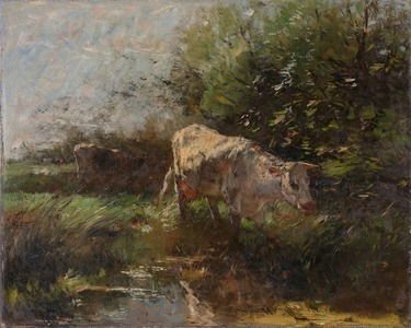 Meadow with Cows, 1880 (oil on canvas)