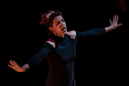 Compania Dei Furbi performs The Magic Flute (photo)