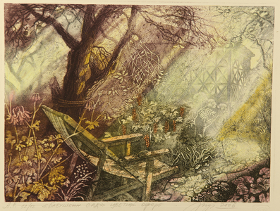 My Grandmother's Garden, 2009 (colour etching on paper)