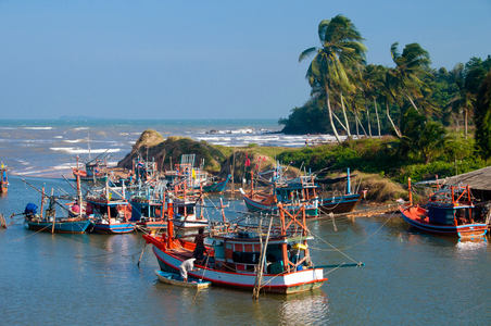 Thailand: Fishing fleet near Thung Wua Laen Beach (Hat Thung Wua Laen), Chumphon Province