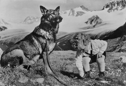 Child and dog in the mountain (postcard)