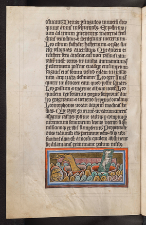 Method of capturing the lioness, 1226-1250 (illuminated manuscript)