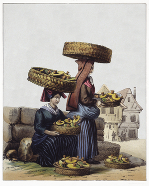 Mushrooms traders, 1854 (litho)