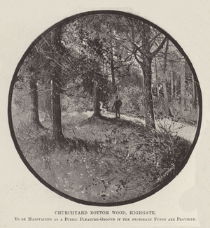 Churchyard Bottom Wood, Highgate, to be maintained as a Public Pleasure Ground if the Necessary Funds are provided (litho)