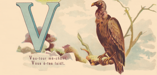 V: Naughty vulture, You're ugly!