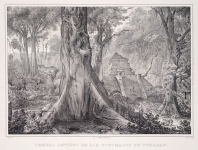 Temple in a forest