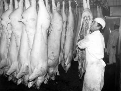 Slaughterhouse, 1996 (photo)