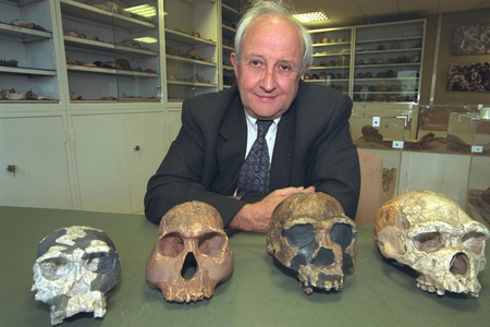 Henry de Lumley (photo)