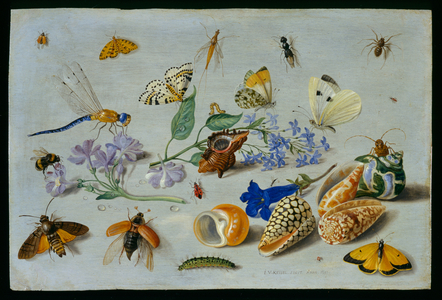 Butterflies and other insects, 1661 (oil on copper)