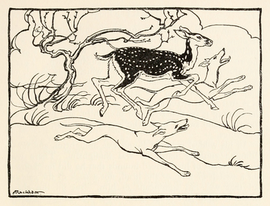 Becfola in her chariot from 'The Wooing of Becfola' in 'Irish Fairy Tales'See desc