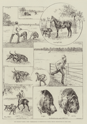 Sir Charles Warren, Chief Commissioner of Metropolitan Police, trying Bloodhounds in Hyde Park (engraving)
