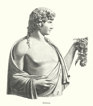 Antinous, Greek youth and favourite, or lover, of the Roman Emperor Hadrian (engraving)