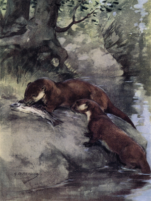They left a bonnie grilse on the scarp (colour litho)