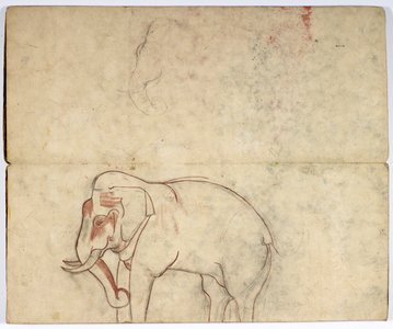 An elephant.