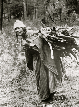 AMERICAN MEDICINE WOMAN 1913 (photo)