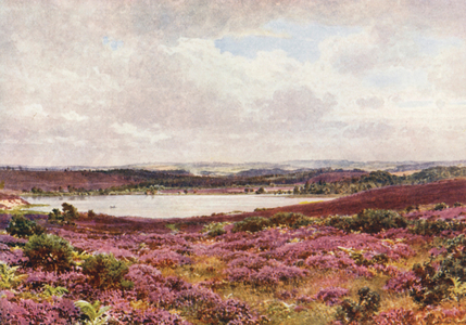 The Great Pond, Frensham (colour litho)