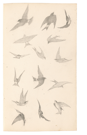 Page from a sketchbook, 1928-30 (pencil, w/c & gouache on paper)