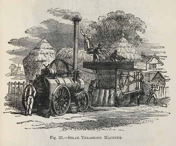 Illustration of a steam thrashing machine.