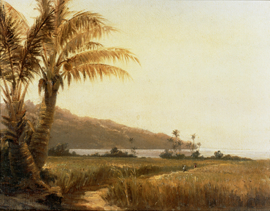 Coconut palms by the sea, Saint Thomas, Antilles … (painting on canvas)