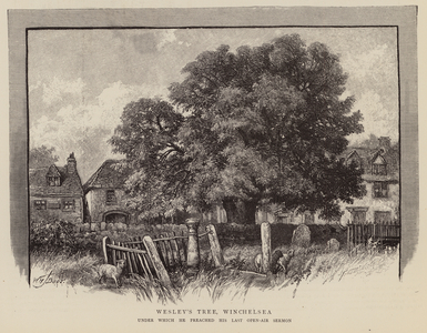 Wesley’s Tree, Winchelsea, East Sussex (engraving)