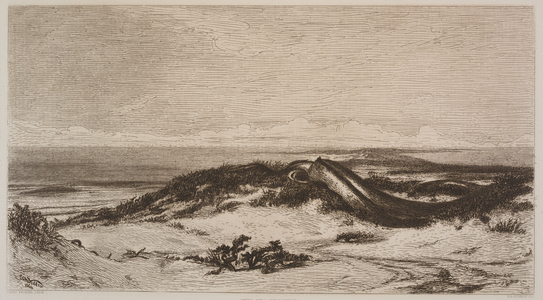 The Sea Serpent, 1864 (etching on paper) 