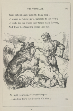 Wolf