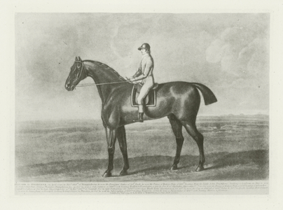 Skylark, foaled 1786 (b/w photo)