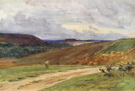 Wessex: The Broadstone Golf Links, near Poole (colour litho)
