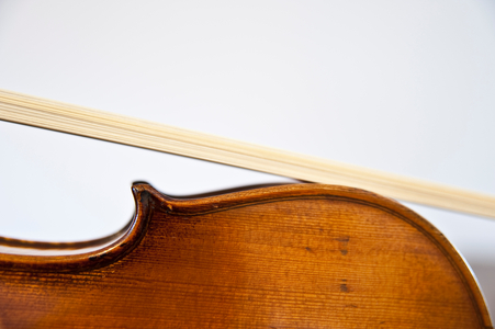 Violin