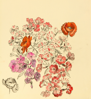Flowers, 1966 (gouache on paper)