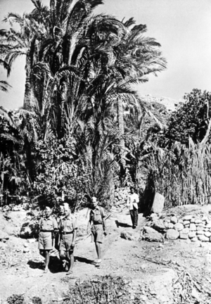 II. WK, African campaign, Tobruk 1941 (photo)