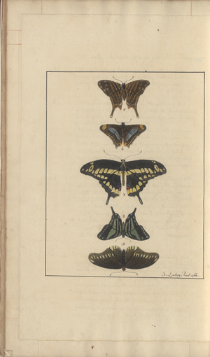 Lindsay Drawings Vol. VI, 31, 1750-79 (w/c on paper)