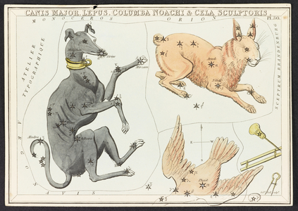 Maps C.44.A.42 Canis Major Lepus, from 'Urania's Mirror; or, a View of the heavens. [A box of 32 cards.]' by Jehoshaphat Aspin, 1834 (colour litho)