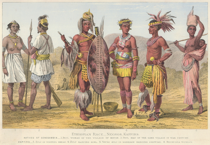 Ethiopian Race. – Negros, Kaffirs (coloured engraving)