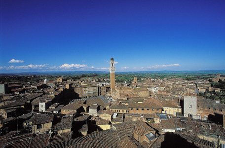 Piazza del Campo: Aerial and Topographic Views, c.1997 (photo)