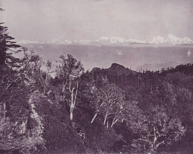 Mount Everest, from Sandakphoo, Darjeeling (b/w photo)