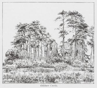 Odiham Castle (litho)